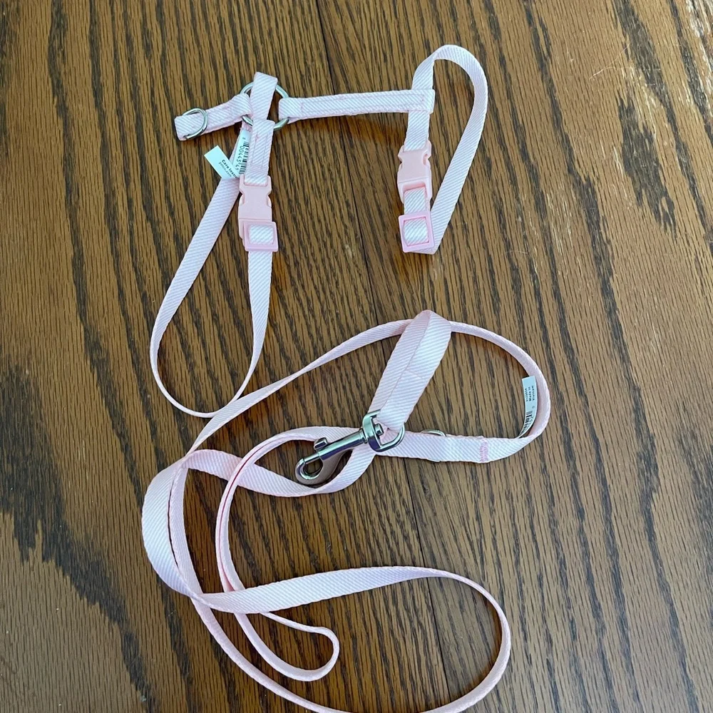 Small cat harness and leash